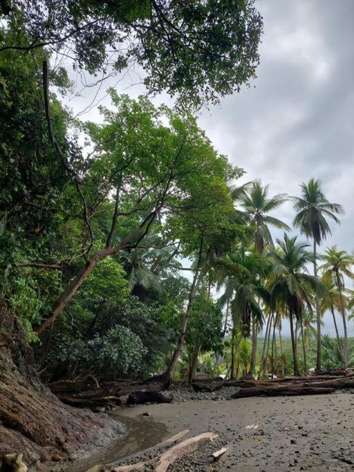 Casa Bahia Ale, Bahia Ballena Uvita Esterno foto